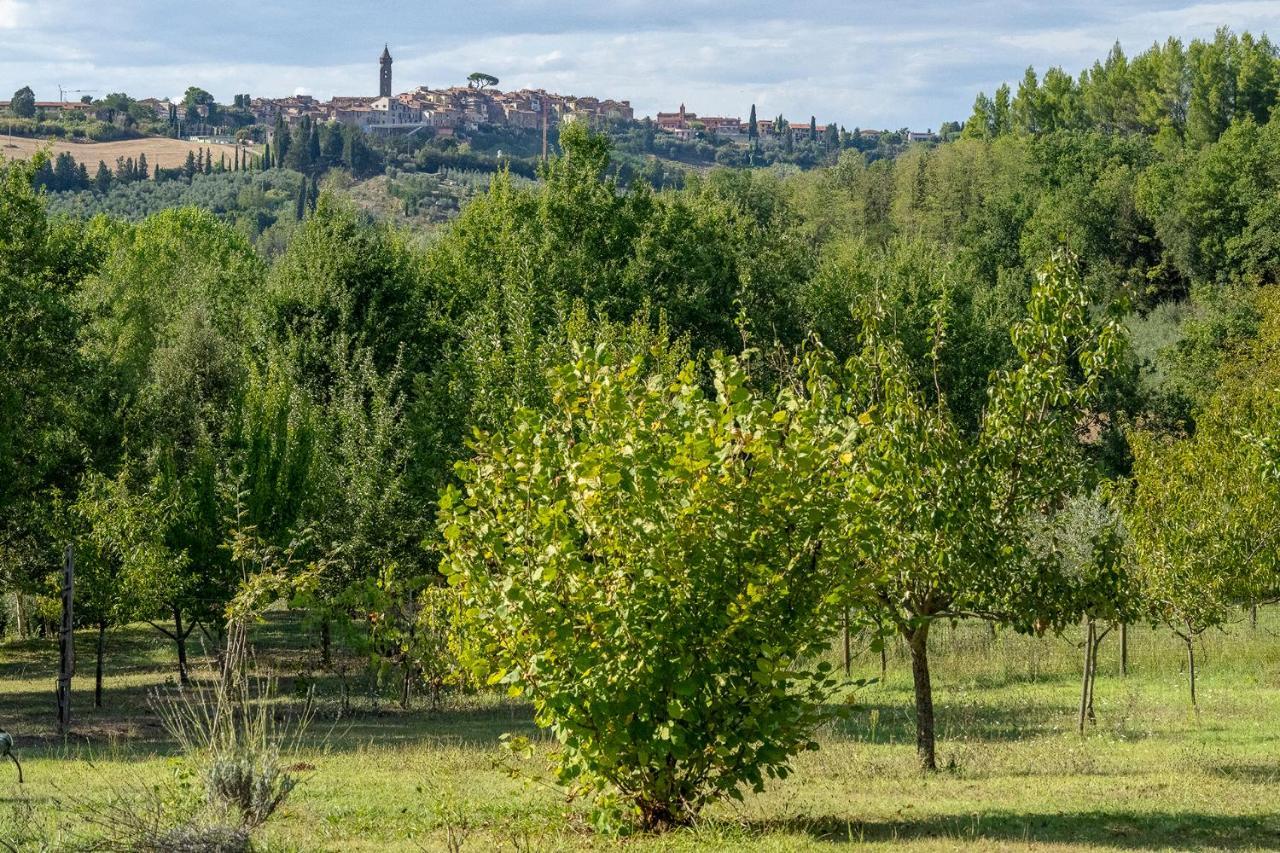 Agriturismo La Valle Peccioli Zewnętrze zdjęcie